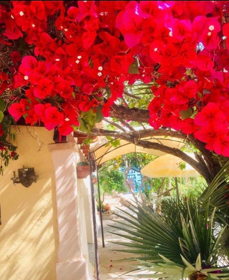 Casita Limon Andratx Βίλα Εξωτερικό φωτογραφία