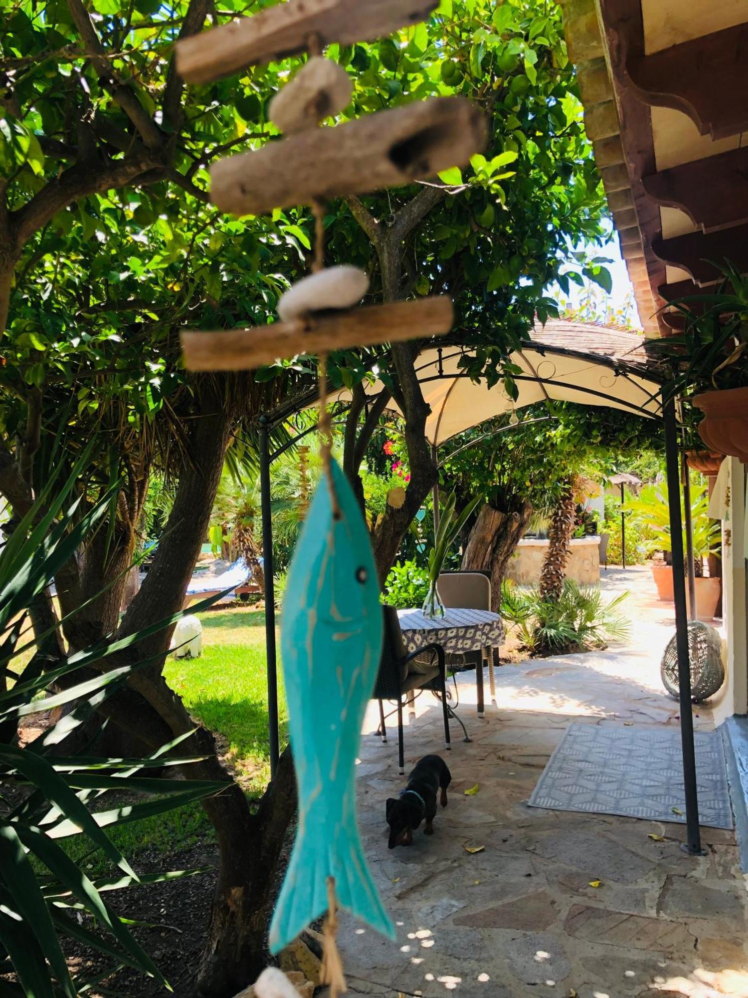 Casita Limon Andratx Βίλα Εξωτερικό φωτογραφία