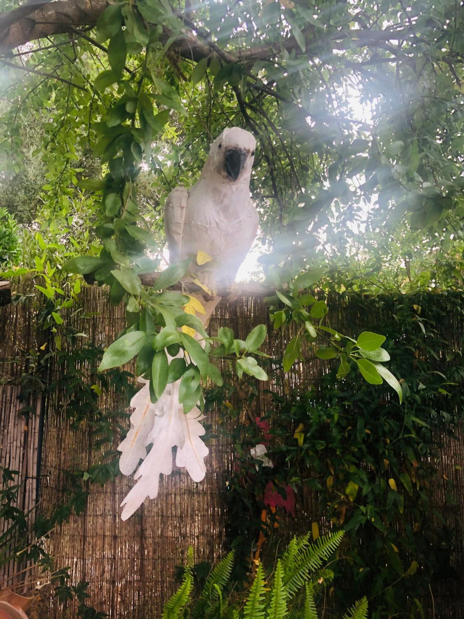 Casita Limon Andratx Βίλα Εξωτερικό φωτογραφία