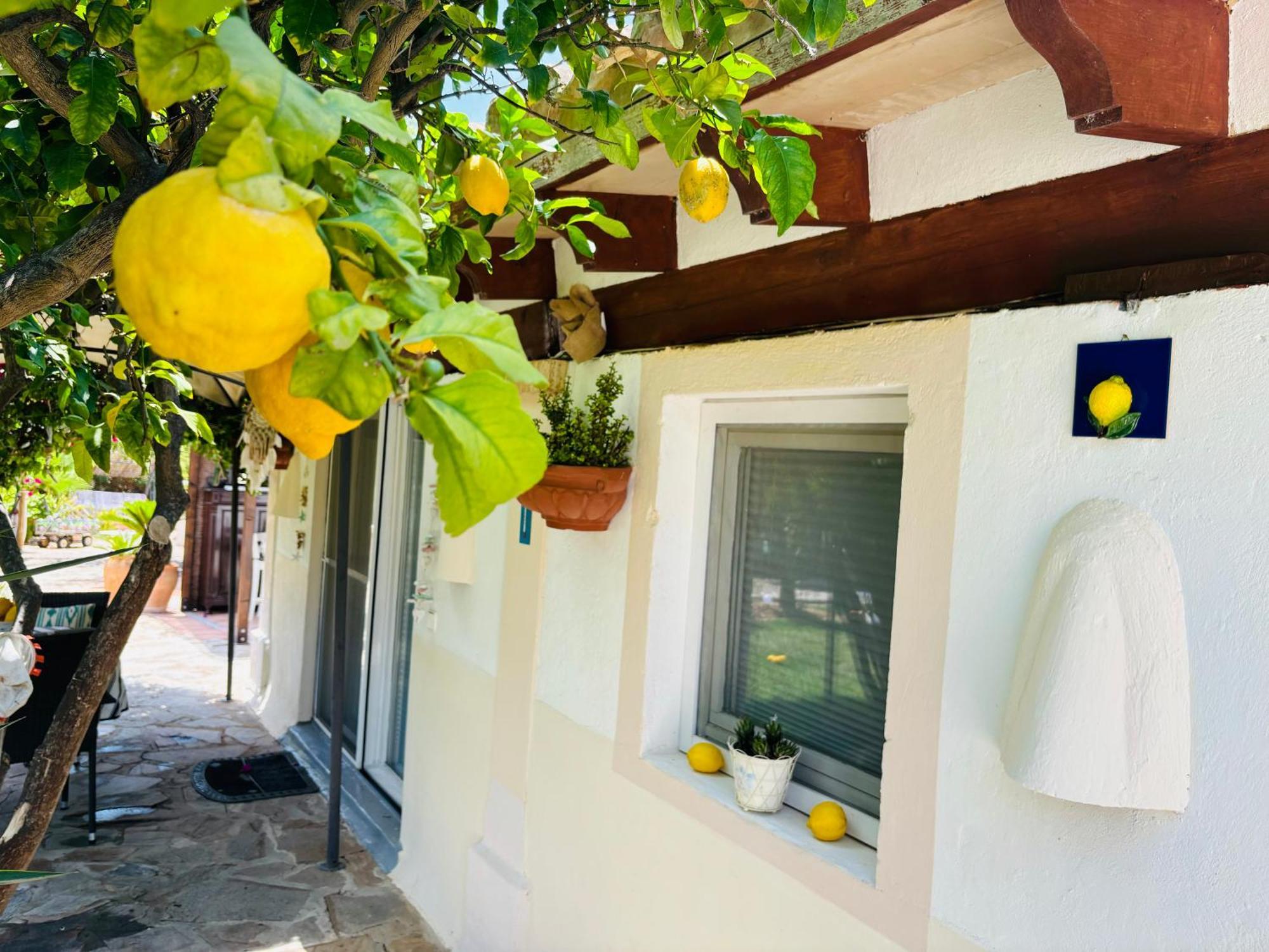 Casita Limon Andratx Βίλα Εξωτερικό φωτογραφία