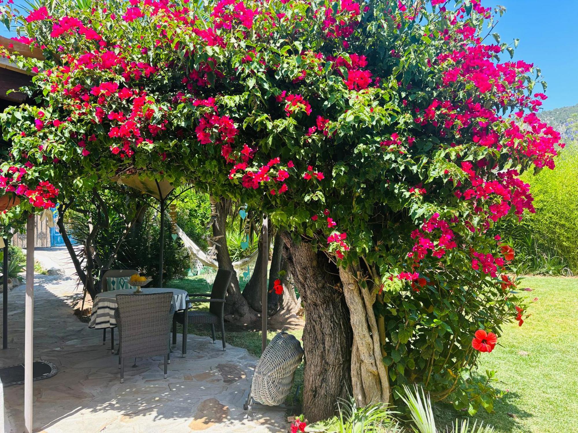 Casita Limon Andratx Βίλα Εξωτερικό φωτογραφία